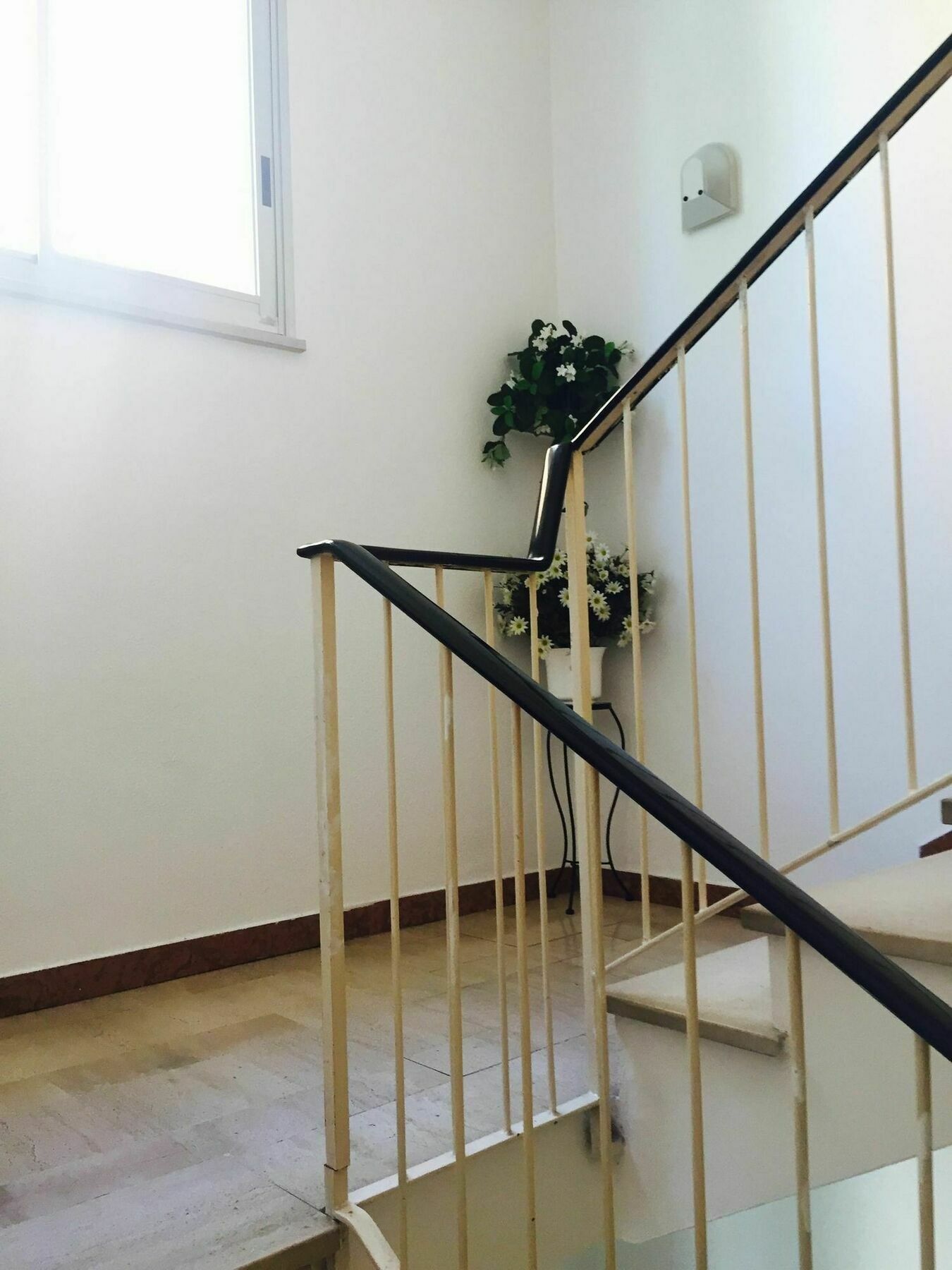 Albergo Leonarda Rimini Zewnętrze zdjęcie